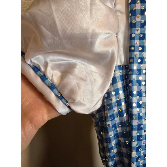 Dorothy wizard of Oz costume child size medium - Picture 7 of 10